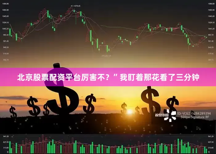 北京股票配资平台厉害不？”我盯着那花看了三分钟